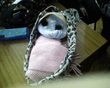 SP_A0149.jpg