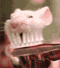 3569f64a6609863c10662e56c63a95f4_16.gif
