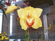 Flowers_10.jpg