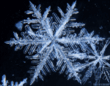 snowflake_05_thumb.gif