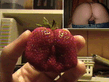 005_pics.jpg