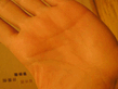 dsc00064.jpg