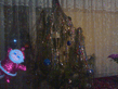 13012009060.jpg