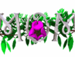 animflowers3_320240.gif