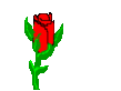 animflowers4_320240.gif