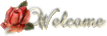 _.gif