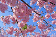 0_217d_df15aa8d_L.jpg