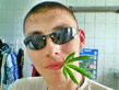Privet_MERS_1.jpg