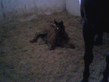 Photo_0002.jpg
