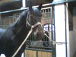 Photo_0003.jpg