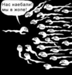 _5_0B784K.jpg
