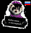 antiemo_1_.jpg