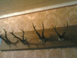Image_015_.jpg
