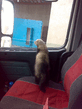 Мой напарник