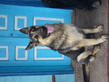 DSC00078.jpg
