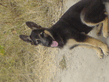 DSC00077.jpg