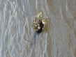 DSC00075.jpg