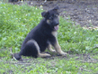 DSC00074.jpg