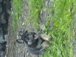 DSC00073.jpg
