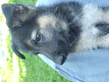 DSC00072.jpg