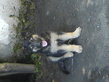 DSC00071.jpg