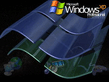 WINDOWS.jpg