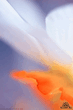 1234257294_0_2957c_.jpg