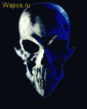 wapos_ru_12368b.gif