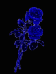 9105.gif