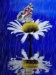 9786.gif