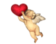 11.gif