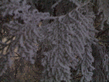 02122008005.jpg