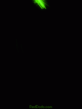 d_05.gif