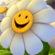 n_08.gif