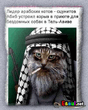 1164673573_stopme_ru.jpg