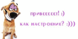 privet_kak_nastroenie.jpg