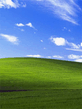 windows.jpeg