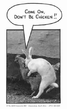 Zoo2.jpg