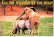 Zoo1.jpg