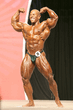0_2008olympia_202_henry.jpg