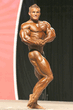 0_2008olympia_202_lewis.jpg