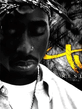 2_pac.jpg