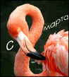 1735_s_8_marta.jpg