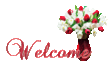 9679798_25266271_Welcome101.gif