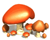 5409.gif