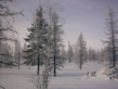 31032009_002_.jpg