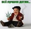 from_pv_1238841178.jpg
