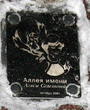 Алиса