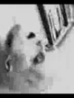 Screenshot0191.jpg
