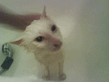 DSC00195.jpg